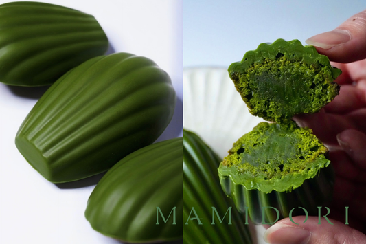 【1周年記念】MAMIDORIマドレーヌ大人買いセット