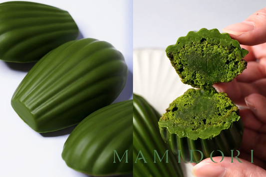 【1周年記念】MAMIDORIマドレーヌ大人買いセット